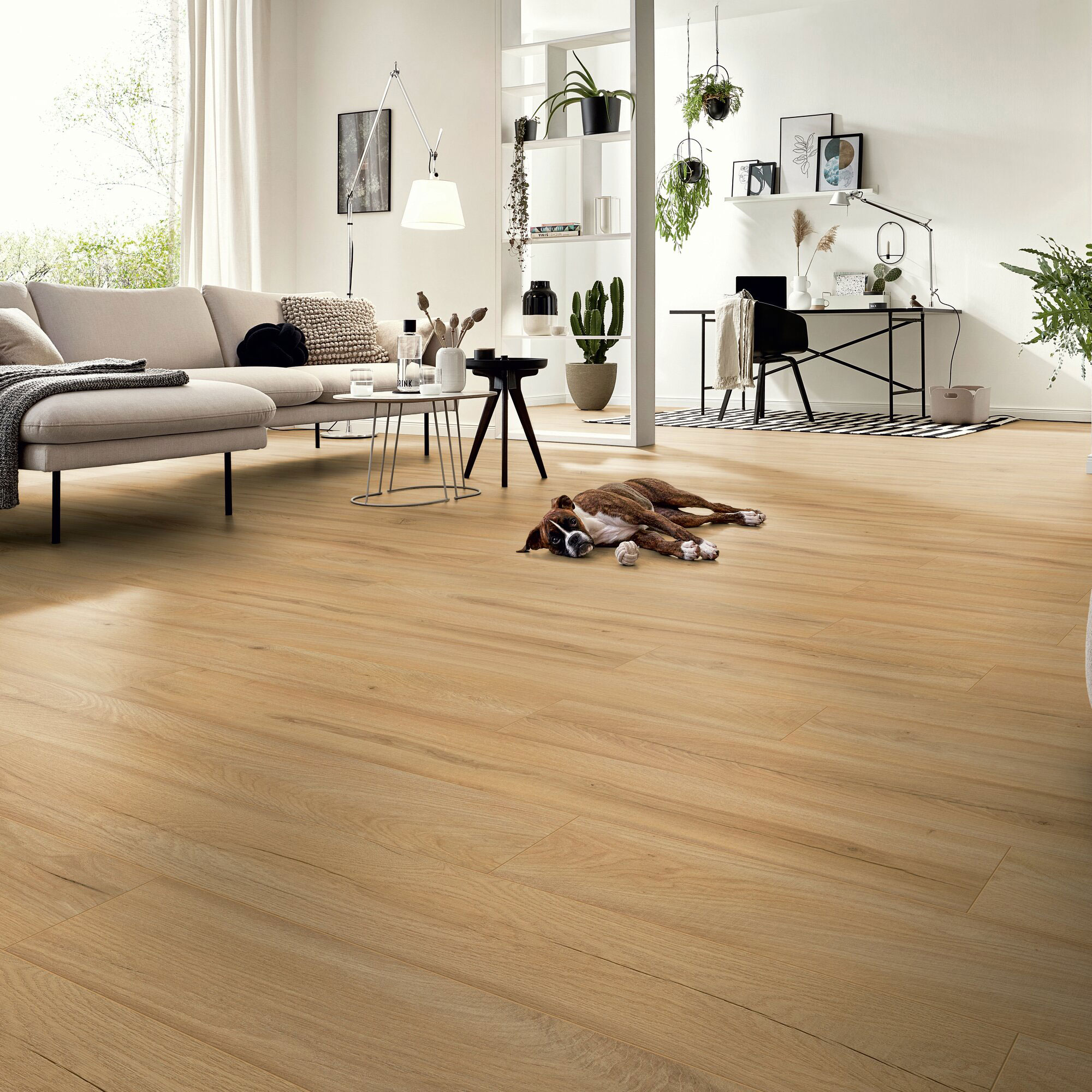 Sol Stratifié Chêne de Ferme Beige