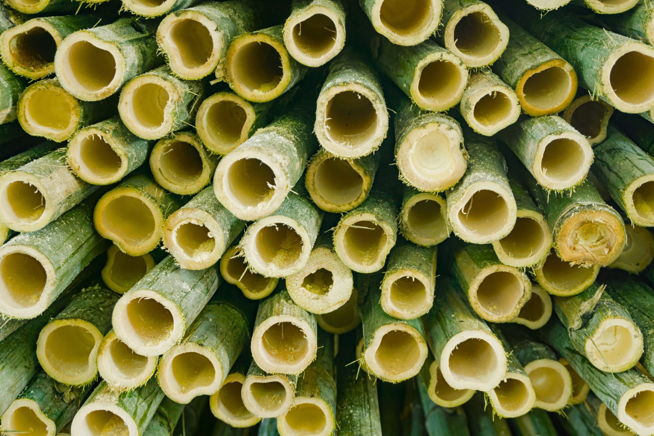 Tout-savoir-sur-le-Parquet-en-Bambou-_-Ecologique-Elegant-et-Durable