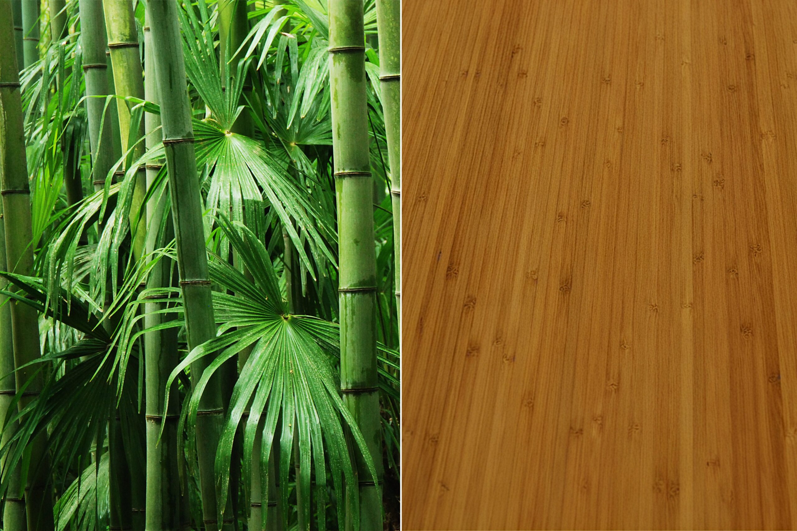 e-parquet-en-bambou-_-une-solution-ecologique-elegante-et-durable