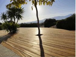 Lame de terrasse bois exotique pour un rendu durable et luxueux. Lame de terrasse en bois exotique sur une terrasse extérieure