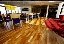 Parquet en bois exotique, parfait pour les pièces à fort passage. Parquet en bois exotique dans une maison moderne, résistant et esthétique
